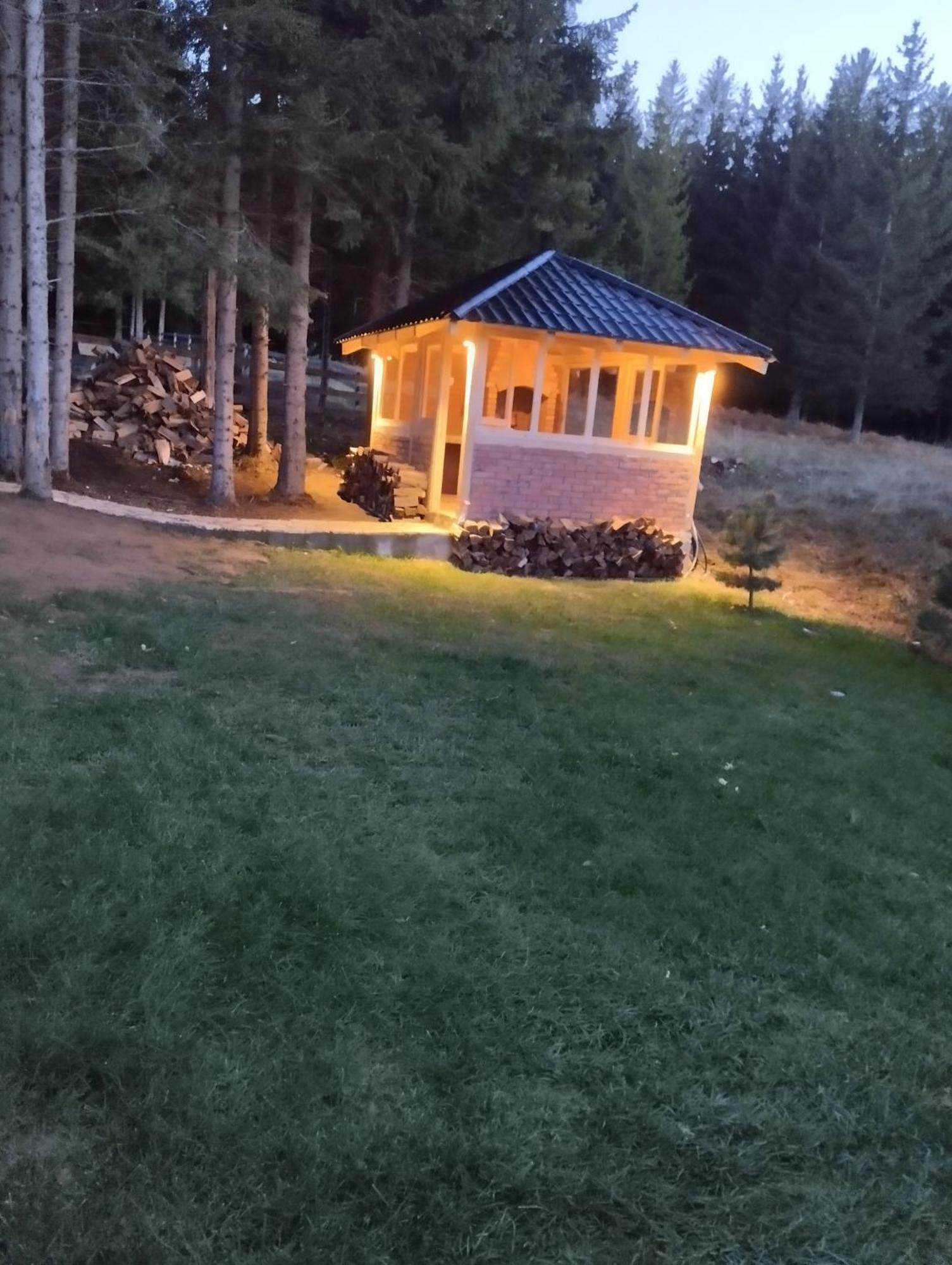 Villa Mila House Tara Bajina Basta Esterno foto